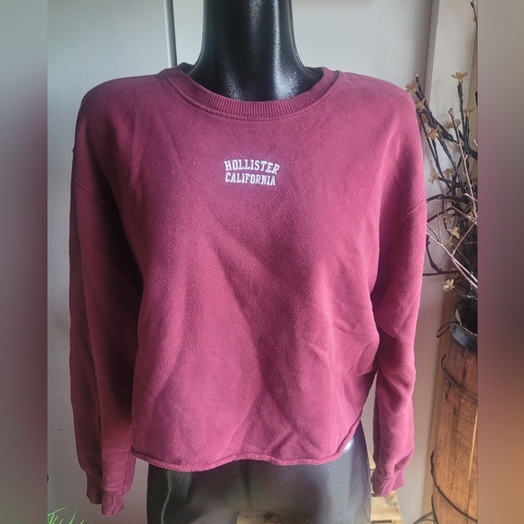 Hollister Burgundy Cropped Sweatshirt L - Picture 1 of 7